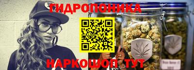 индика Лесосибирск