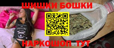 индика Лесосибирск