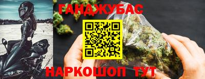 индика Лесосибирск