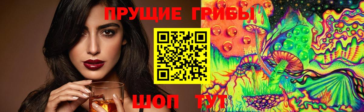 Псилоцибиновые грибы Cubensis  Вход с VPN  Елизово 